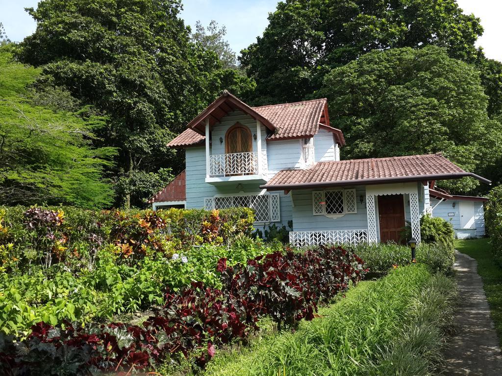Park Eden Bed & Breakfast Los Llanitos Quarto foto
